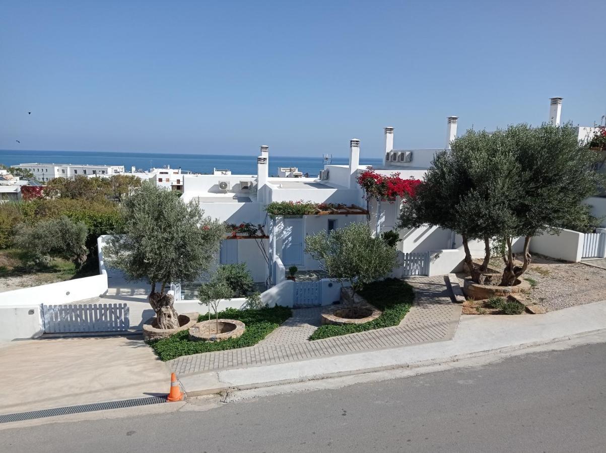 Amphitrite Apartments Skyros Ngoại thất bức ảnh
